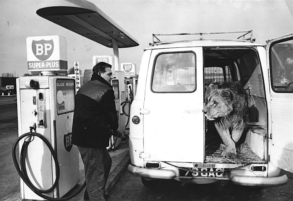TheDeskPilot's tweet photo. If every #worksvan had one of these #Lion #CarAlarms be a lot less #vans #Stolen #tradesman #tradesmen @Auto_Attic https://t.co/wDOOkNEHjC