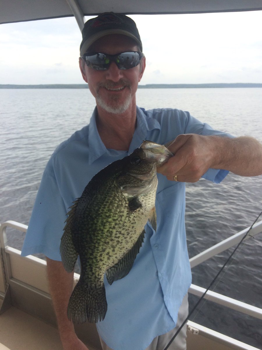 LTDGuide's tweet photo. Catching #crappie on #toledobend today #ltdguide @TolBendCountry @WildwoodResort https://t.co/YGbZwh8kmY