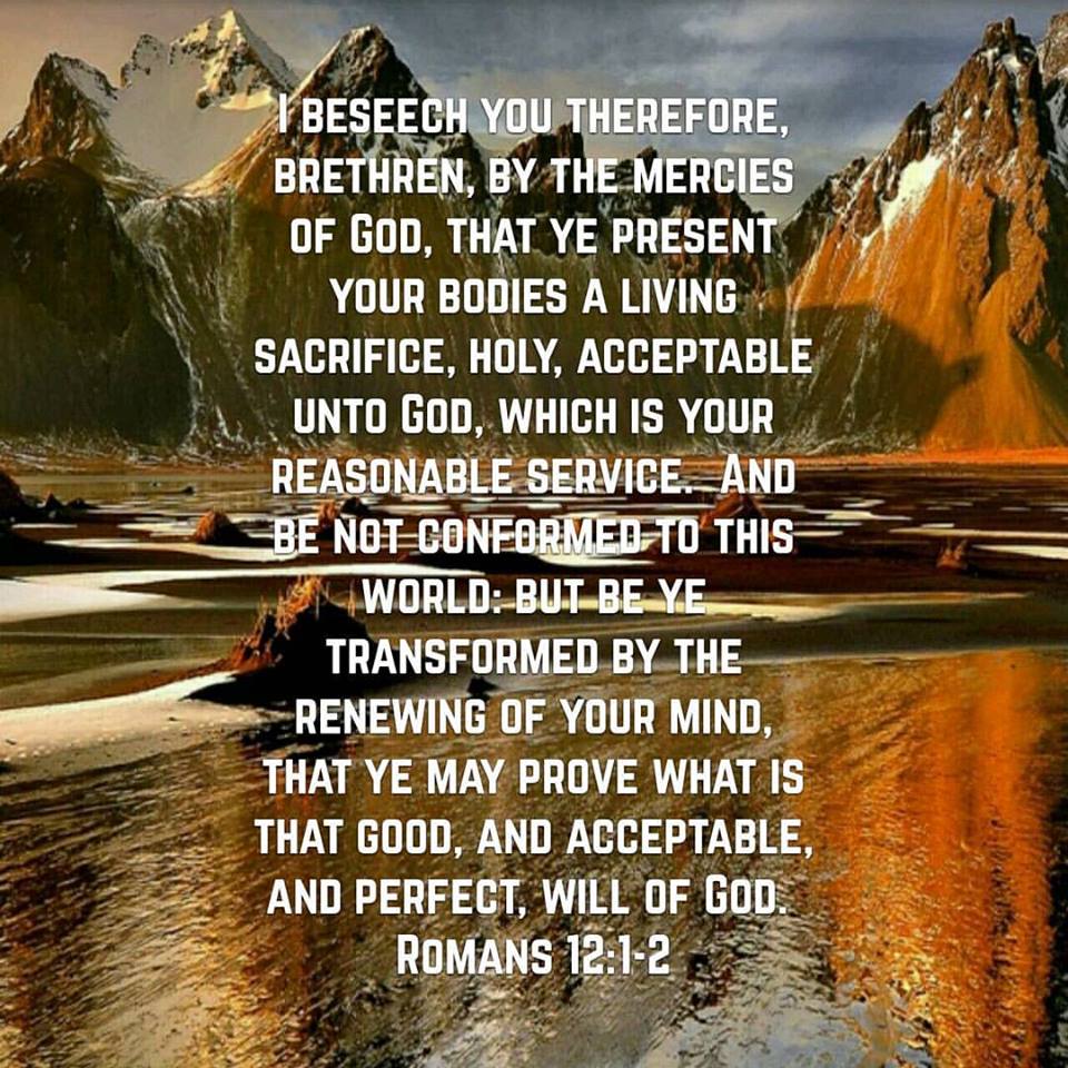 SaintPetersGate's tweet image. I  beseech you brethren, that ye present  your bodies a living sacrifice,acceptable unto God,your reasonable service