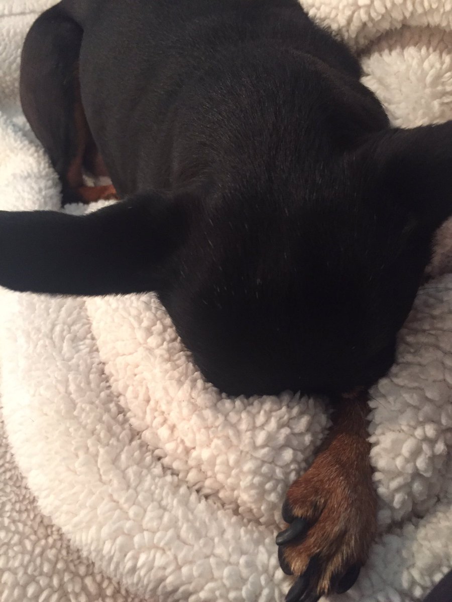 I feel ya, Sophie. #FridayFeeling #FridayVibes