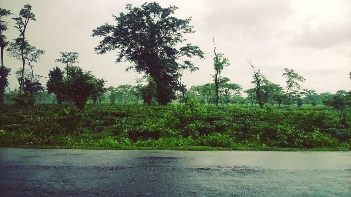 Vaskar_Picso's tweet photo. Dat View ❤ 

#mesmerizinghypnotizing 
#RainyDays
#Hometown ☔

#LumiaPhotography ™ 

© Vj's Photography  2k16 https://t.co/XaoLdJR7Zo