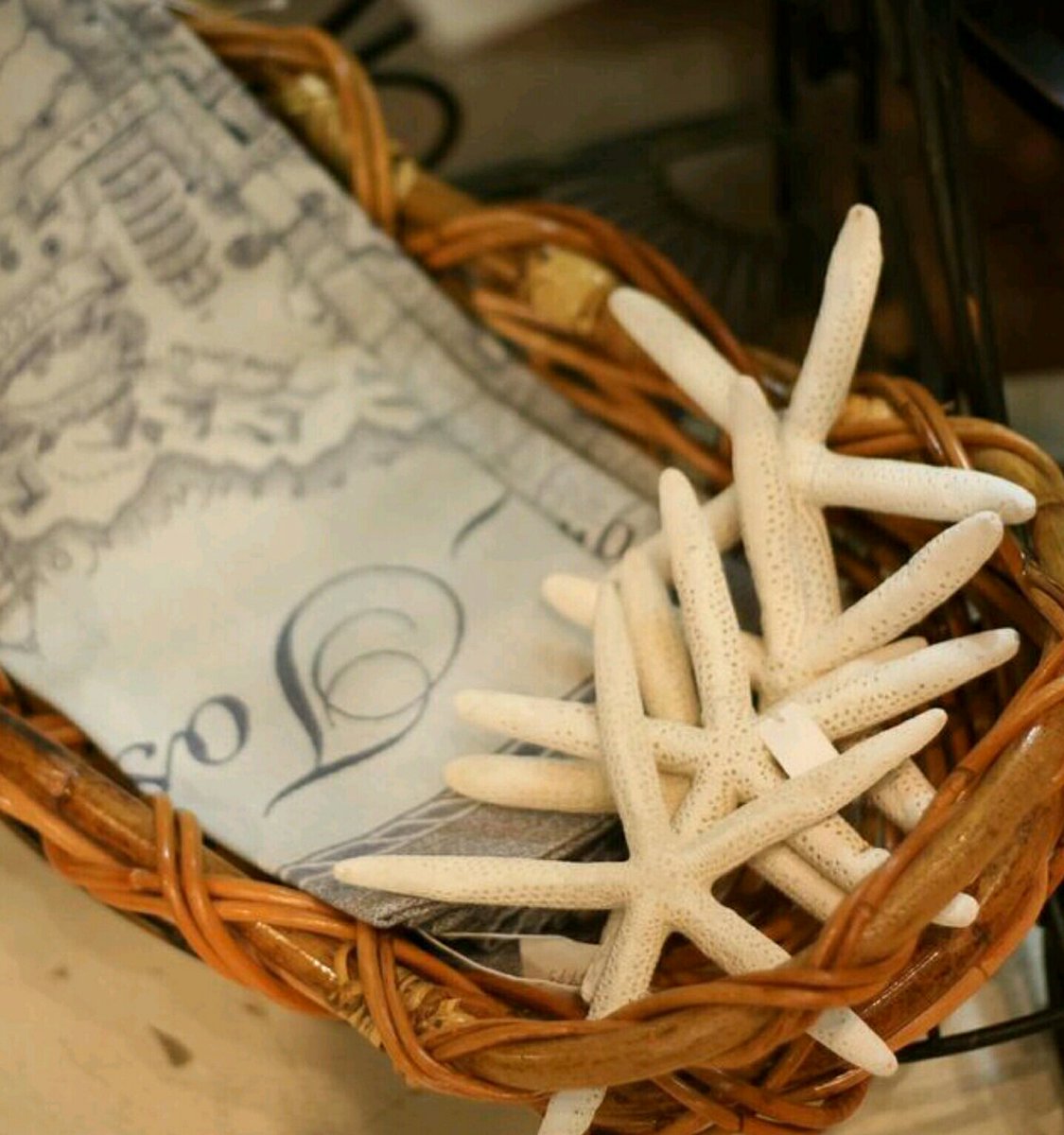 Need an instant escape? #vacationvibe #raleighnc