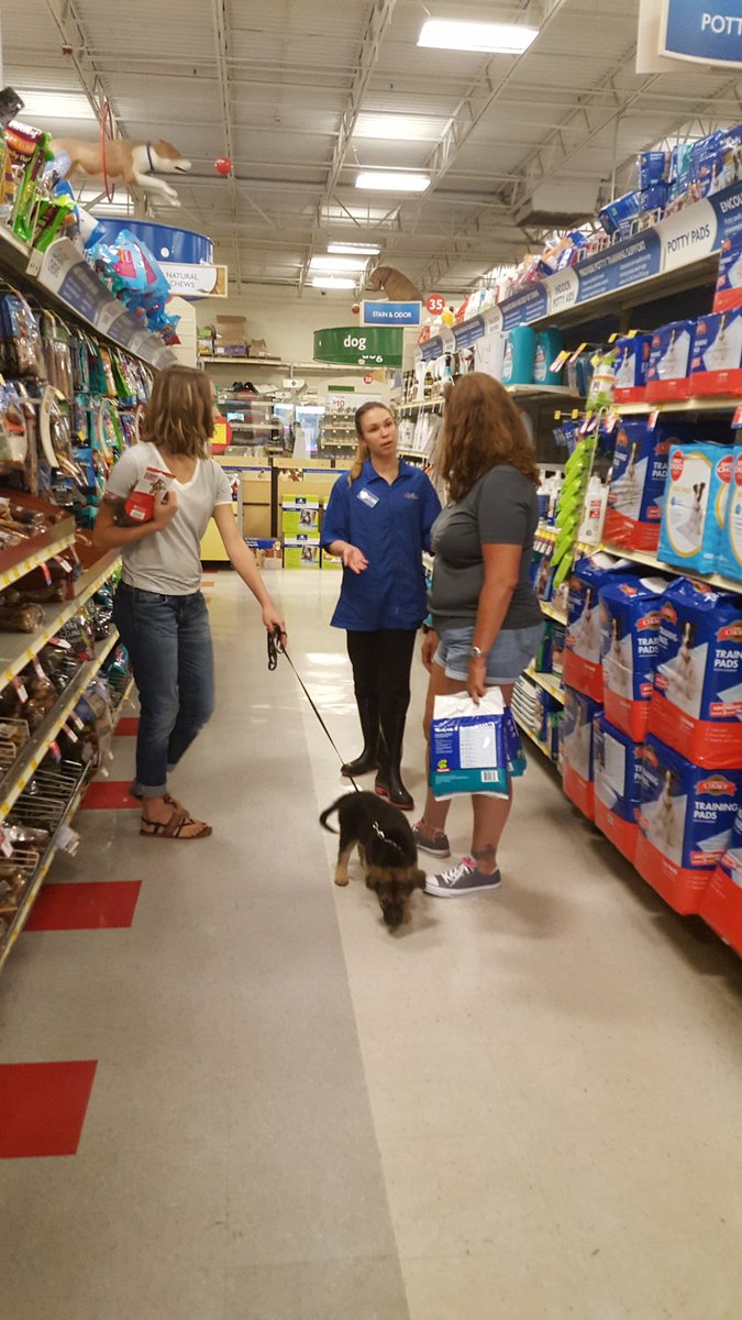 #meetthesylist Kim sells a Puppy Guide!