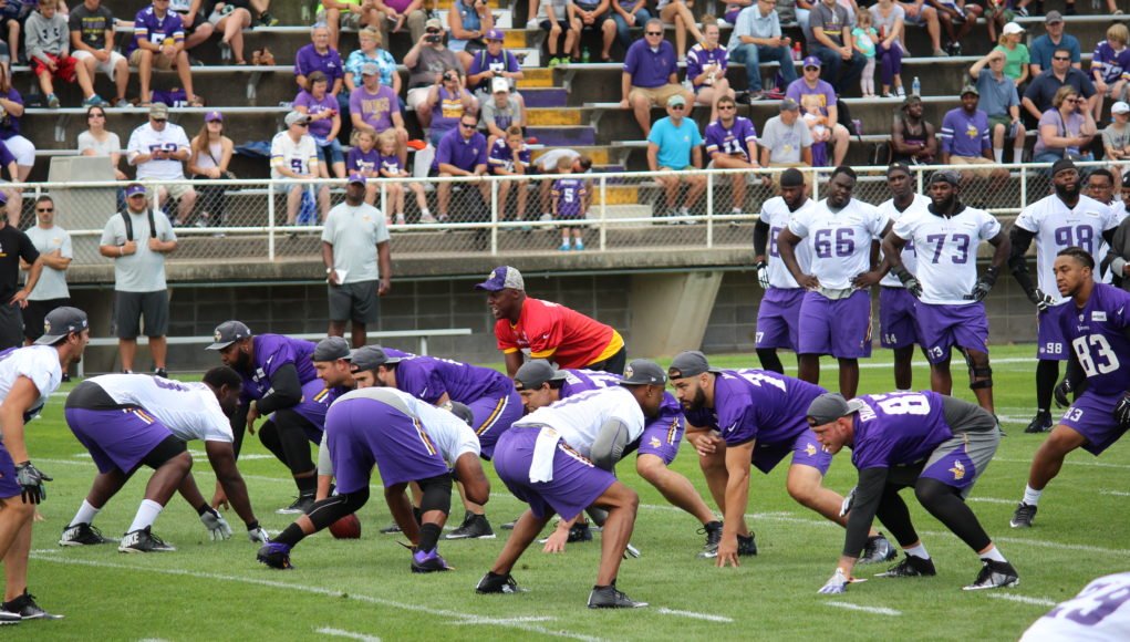 Minnesota Vikings 2014 Depth Chart