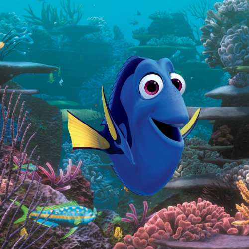 XscapeYorkshire's tweet photo. RT for a chance to win Finding Dori cinema tickets, fish tank from @PetsatHome &amp; goodies from @Disney Closes Sunday https://t.co/57x3yfPQx4
