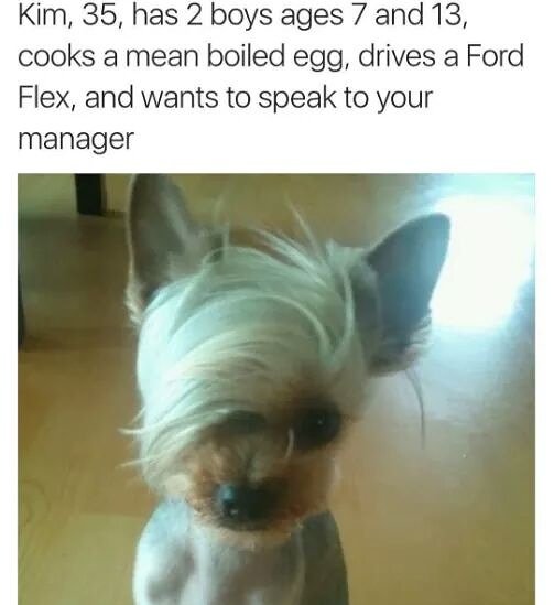 macmccormack's tweet image. 