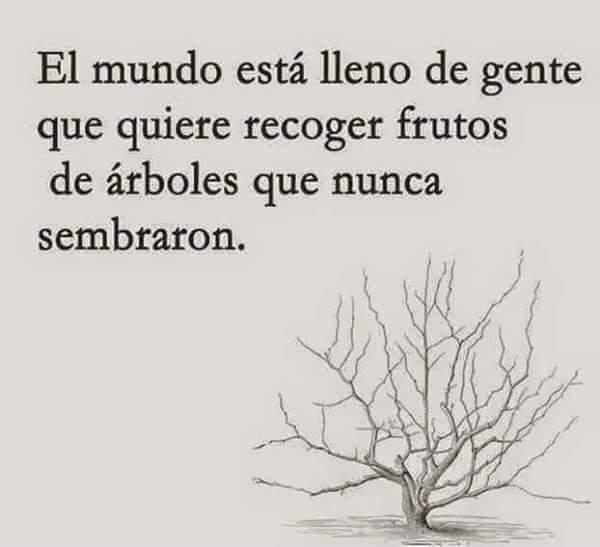 Mari_tarari's tweet photo. Estamos a tiempo de sembrar un futuro productivo si decimos NO a los #recorteseducacionpsoe. #Docentesandaluces https://t.co/b1APGVLoo6