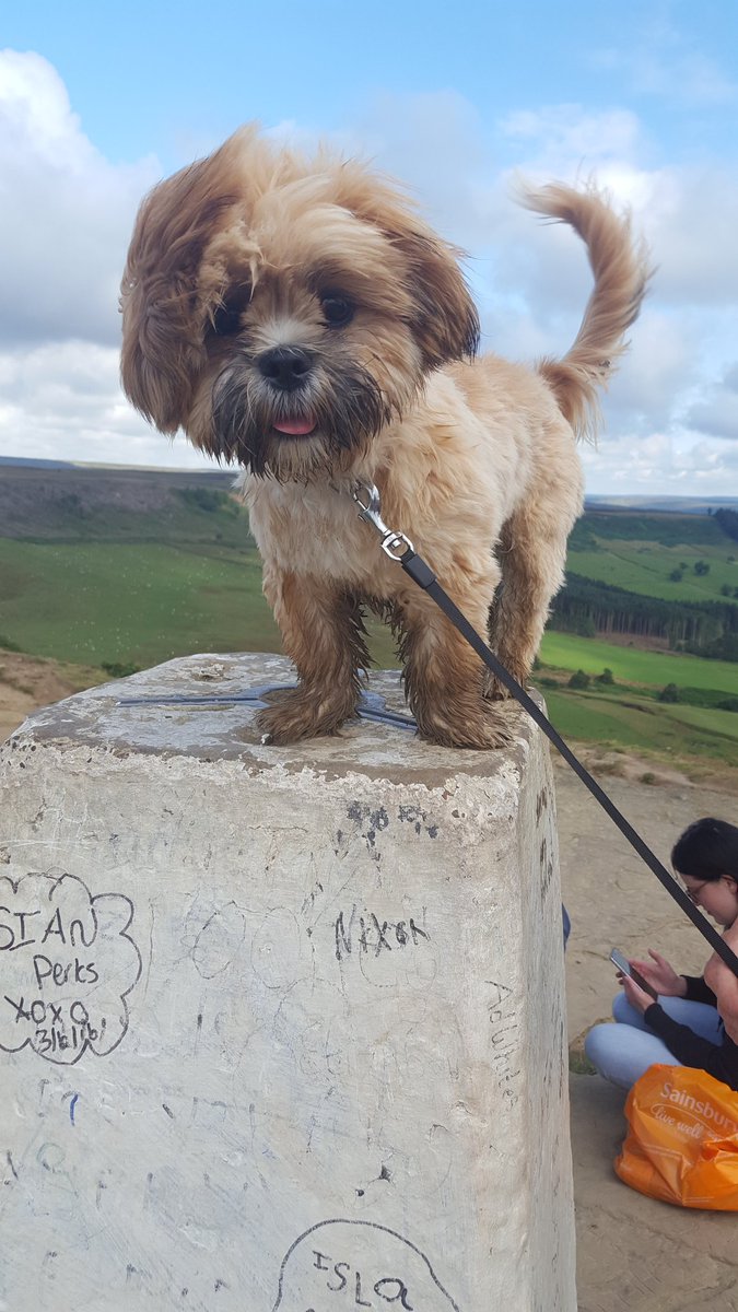 Charliepawz's tweet photo. Happy times. Great trip up
#makingmemories 
#muddypaws
#lovemylife https://t.co/z53gZPy36z