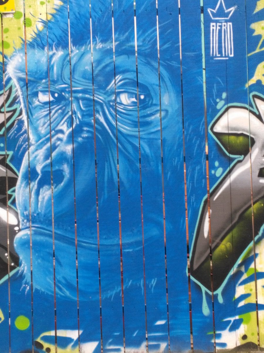 JulieDjoune's tweet photo. Gare au Gorille : Travaux du metro #Rennes #Bretagne #Bzh #streetart #graphderue https://t.co/cjF1ntfzDm