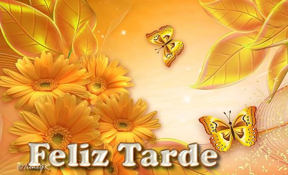 Que pase una feliz tarde de viernes. Muchas bendiciones. | Noticias 4Visión  | Scoopnest