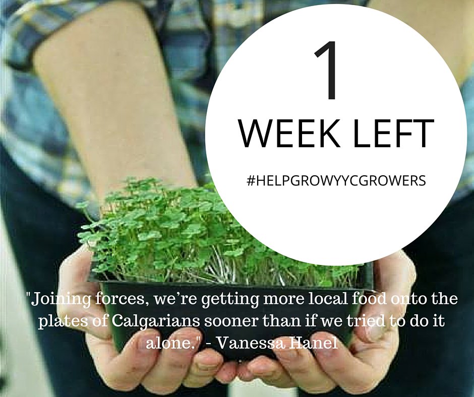 yycgrowers's tweet photo. 1 WEEK LEFT! Let's raise a cooler. Support #YYC farmers &amp; be a #localfoodchampion: https://t.co/vmStEKLtym https://t.co/Lqw9RhkjRU