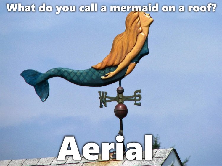 HAHA This one is my favorite! - Amanda #FunnyFridays