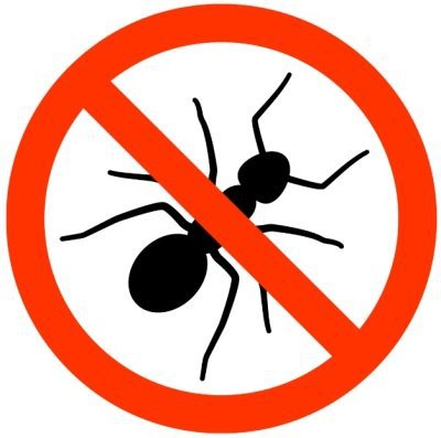 How To Actually Get Rid Of Ants In Your House liveanddinebrooklyn.com/2016/07/30/how…