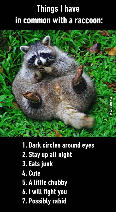 alohaperiwinkle's tweet image. life #postbar