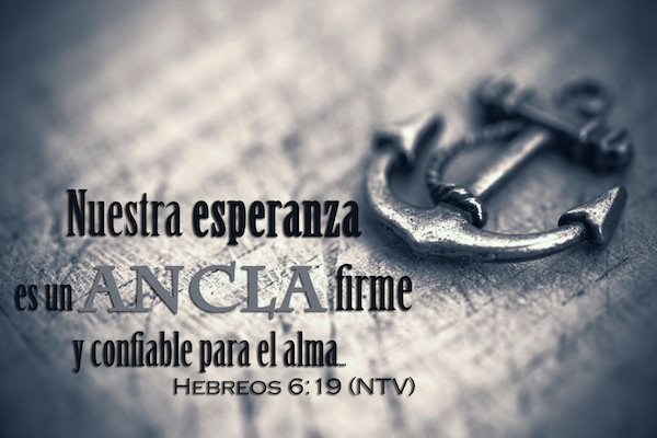 michaelbef's tweet image. En JESÚS estoy confiado.