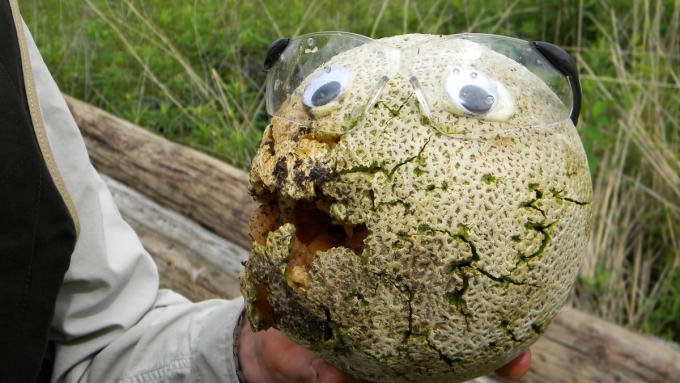 OnTargetTTC's tweet image. At #OnTargetRange We Require Eyes and Ears At All Times! ow.ly/4oOy302KIiA
#FirearmSafety #RangeSafety