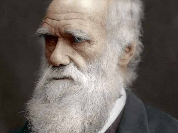 SpiffyBeard's tweet photo. For our first Beard Bio we have naturally selected Charles Darwin https://t.co/9UdDfEr1H5 #famousbeards #beards https://t.co/yJhoXNbFnI