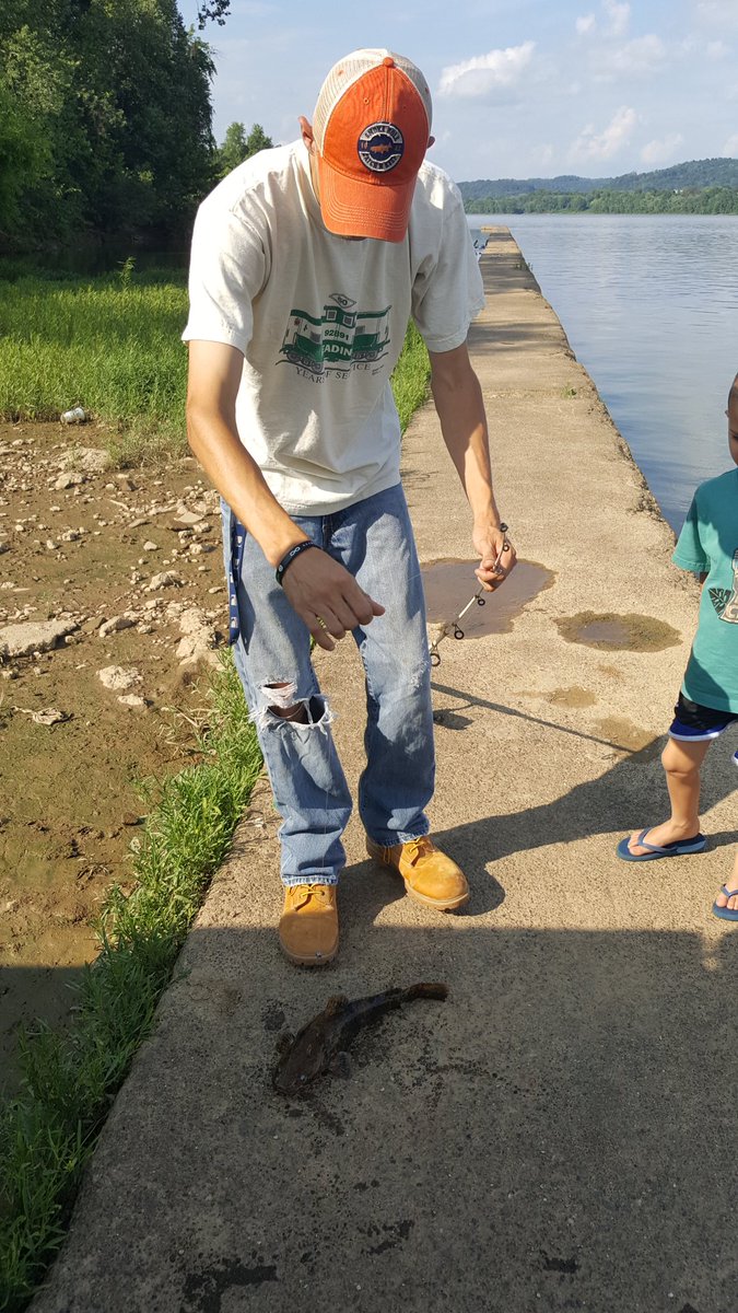 FishinWithBryan's tweet image. Little flathead today #catfish