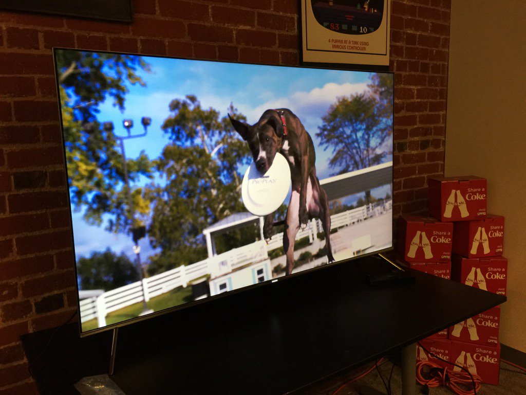 DMC_Ryan's tweet photo. Finally set up @IGN's new 4K HDR TV and OF COURSE we fired up a 4K video of dogs jumping in slow-motion: https://t.co/IVHdsF5fLZ