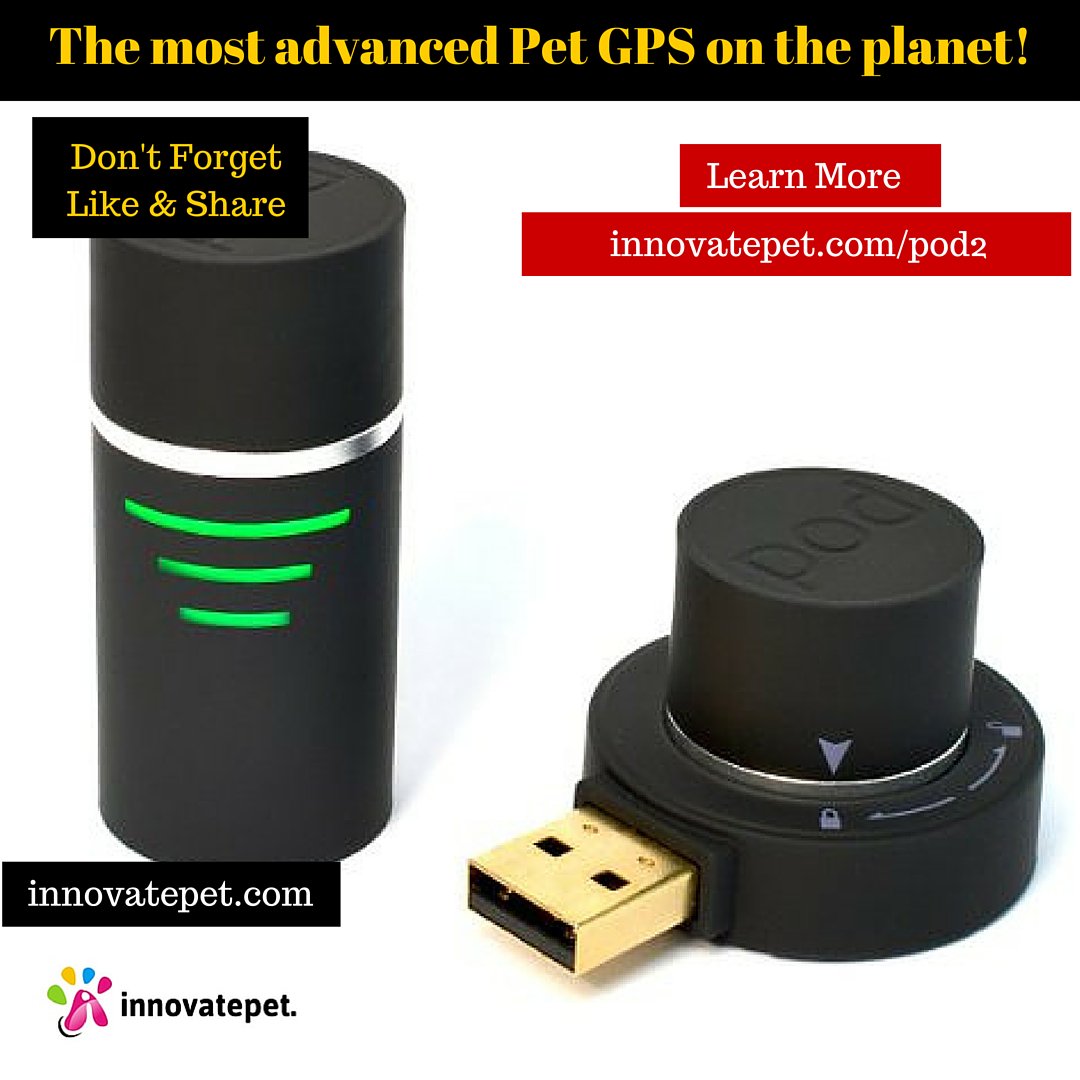 pet_hello's tweet photo. The most advanced #Pet #GPS on the planet! - https://t.co/CDJzjyAEHm - #pets #dogs #tracker #pettracker #dog #cats https://t.co/XWorallrPh