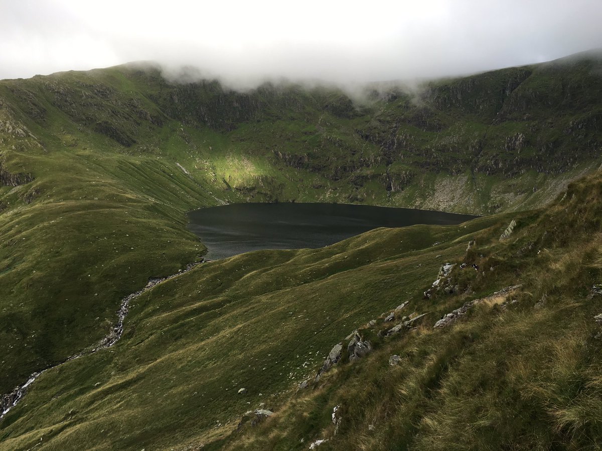ThrimbyFarms's tweet photo. The most dropping in on us in blea tarn on Monday while gathering for shearing. #lakes #gathering #someviews https://t.co/H07IW2Ra02