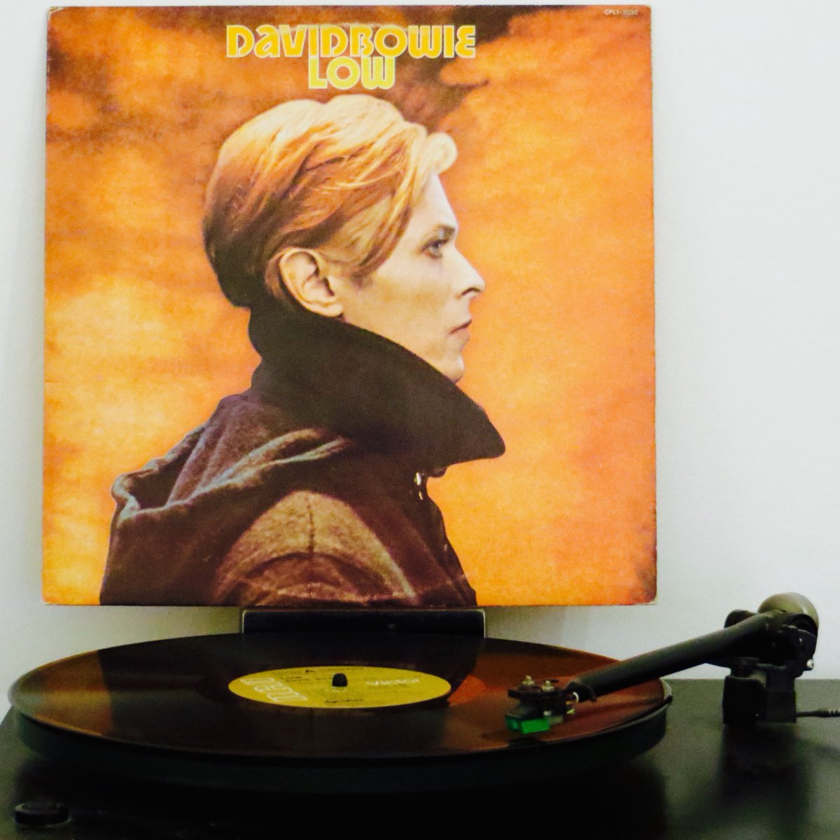 Birmingham_81's tweet photo. Love Bowie &amp; love Paul Buchanan, but this #BowieProm is simply not working for me. So it's back to these beauties... https://t.co/abD7wAUS6L