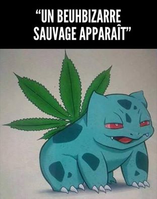 _BlackKite's tweet image. J'ai ri. :') #PokemonGO