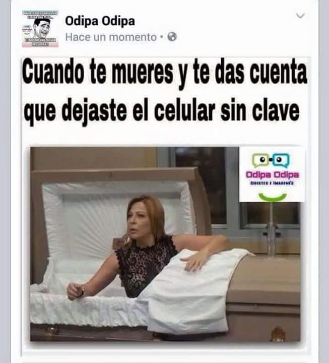 JenbonGuil's tweet photo. El jefe jajajajaja https://t.co/AsL0d8NWGF