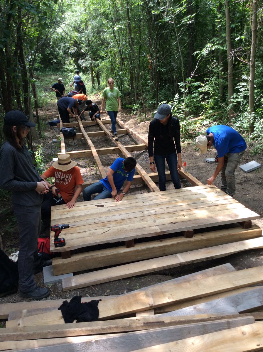 TRCA_Stewards's tweet photo. Had a great day catching/identifying different bee species and building a boardwalk! #TRCACYC https://t.co/YlPI4CGAoZ
