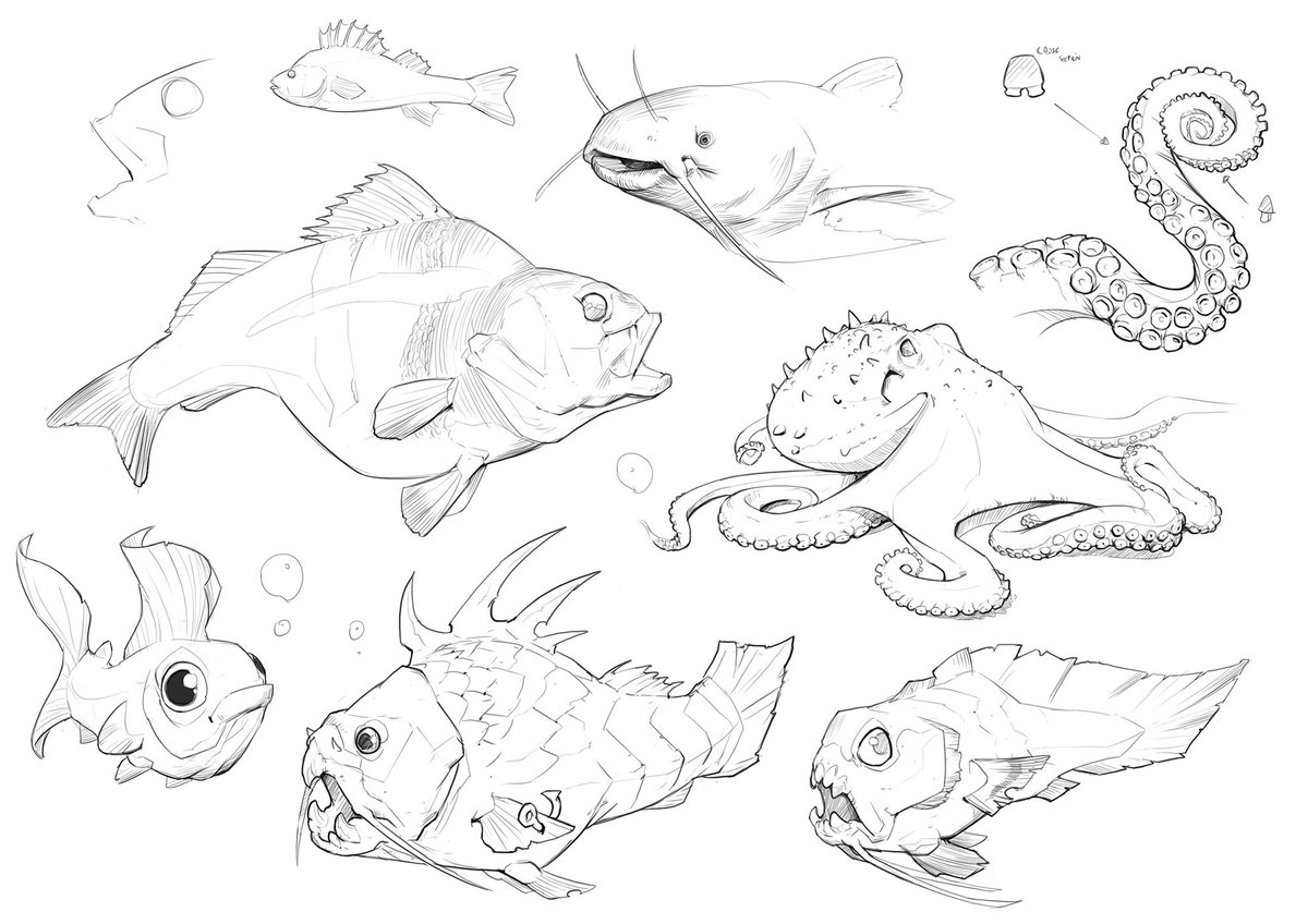 Fish and squid studies along with some doodles from imagination land. 