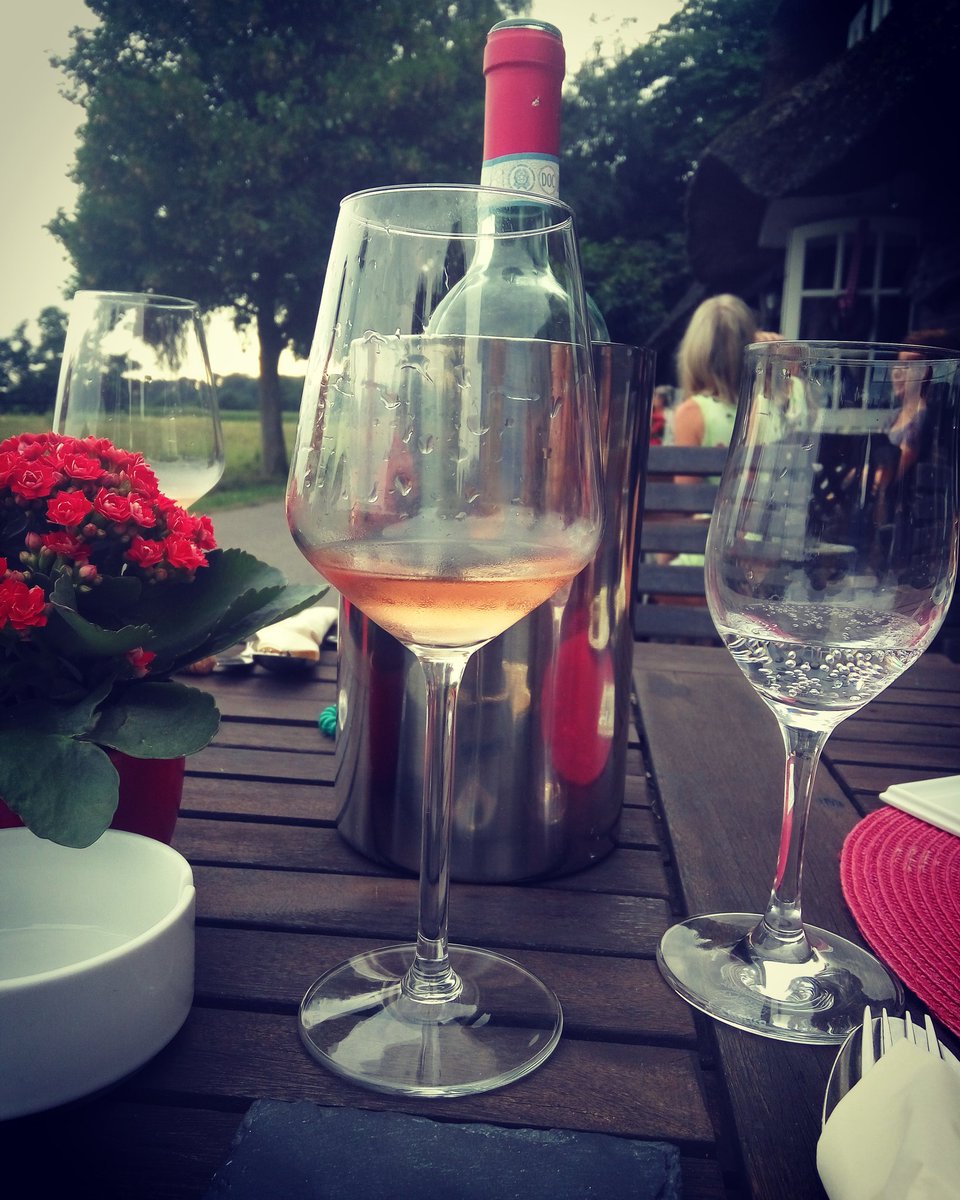 The best rose wine everrr !!! From Cecilia Beretta #rosewine 😹😻😻