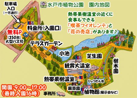 水戸市植物公園 Mito Botanical 16年07月 Twilog