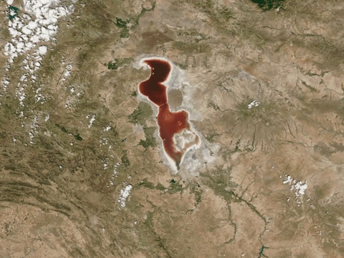 Teramer's tweet photo. Le lac d’Ourmia rouge vif de Dunaliella Salina https://t.co/aJVW7NL0Og https://t.co/FNJthdC6b0