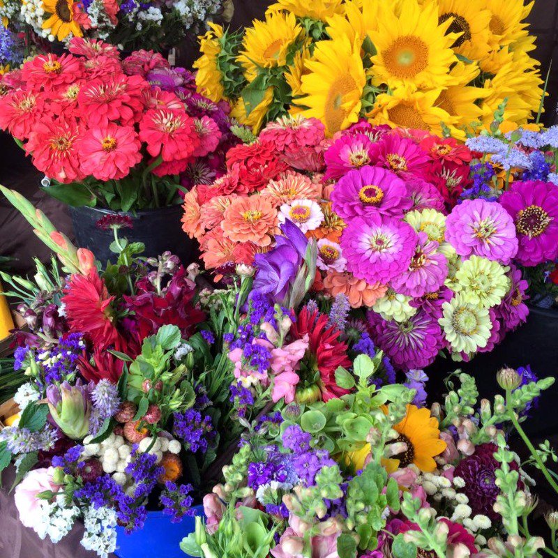 You deserve flowers!  Come buy them at the Toledo Farmers' Market this Saturda ... ffa.mx/ms/7285 #farmfan
