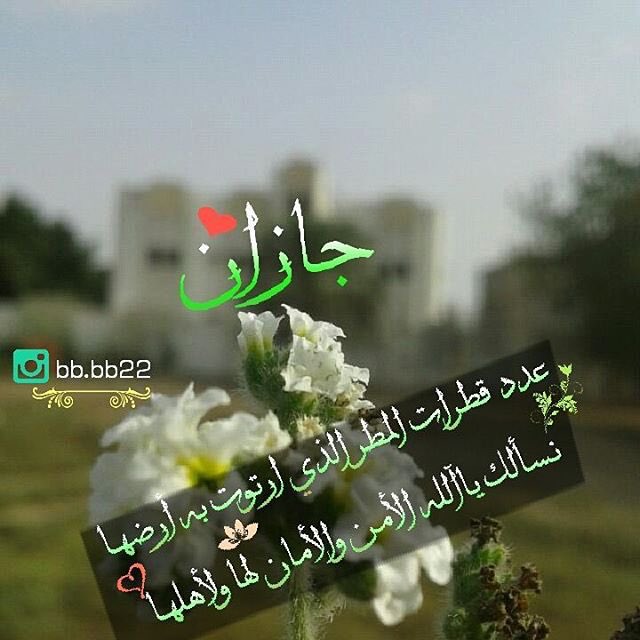 جيزاني وافتخر (@544f792872634d5) on Twitter photo 