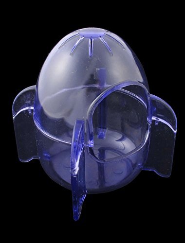dogpointofview's tweet photo. Gerbil Mouse 2 Entrance Holes Hamster House Cage Playhouse Clear Blue https://t.co/mjsVXxJ0UJ #dogspointofview https://t.co/PR0mObOi2H
