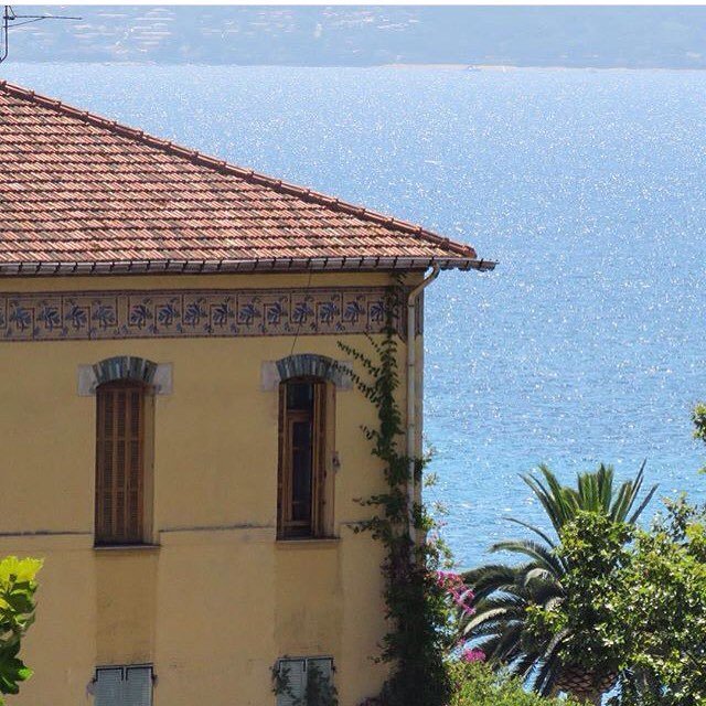 AjaccioTourisme's tweet photo. Dernier jours de juillet sur #Ajaccio 😎🌴☀️ #iloveajaccio #LyceeFesch #mer #soleil #palmier… https://t.co/I7HkYDt10B https://t.co/kYeZQ17SEy
