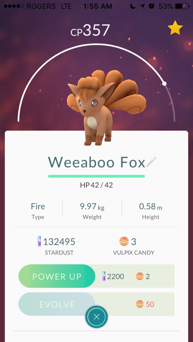Eevachu's tweet photo. Tonight has been a night. #PokemonGO #TeamValor @pokemongoTO @TeamValorTO https://t.co/TLp8Msn37l