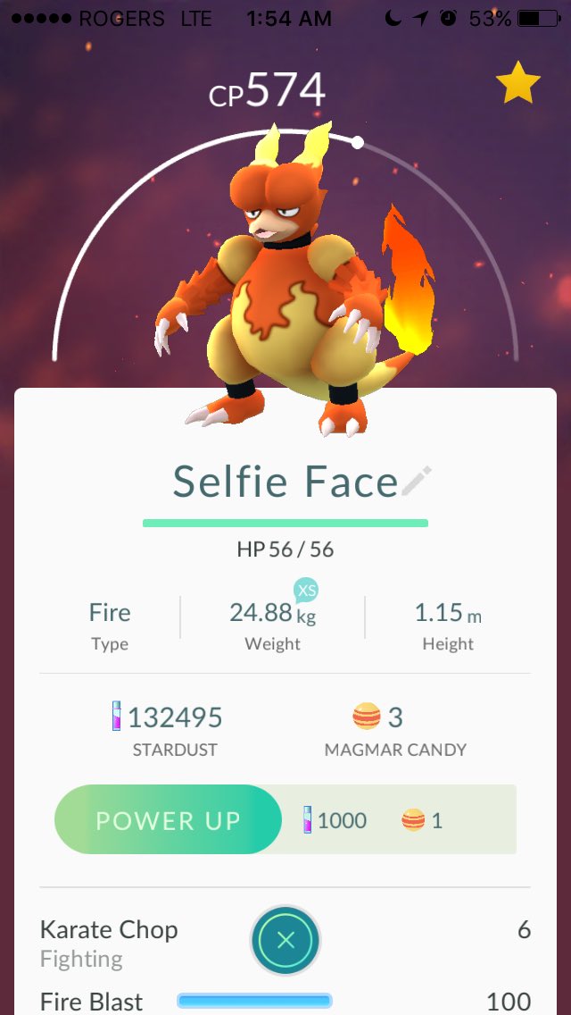 Eevachu's tweet photo. Tonight has been a night. #PokemonGO #TeamValor @pokemongoTO @TeamValorTO https://t.co/TLp8Msn37l