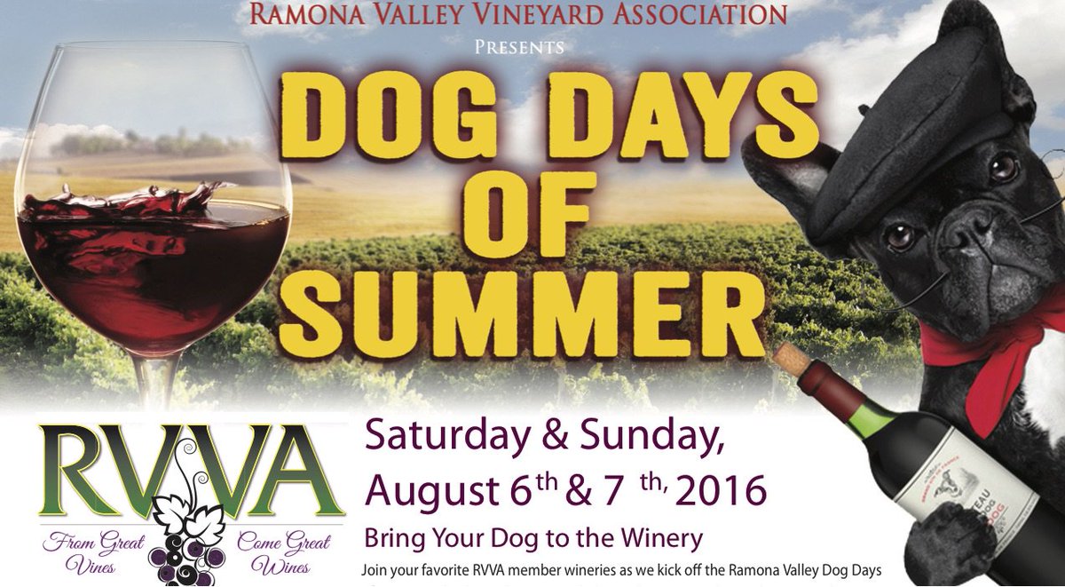 RVVAMarketing's tweet photo. Aug 6,7~Bring your friendly dog Ramona participating wineries https://t.co/oQOBEMOrp7 https://t.co/6fxag1Y2jO
