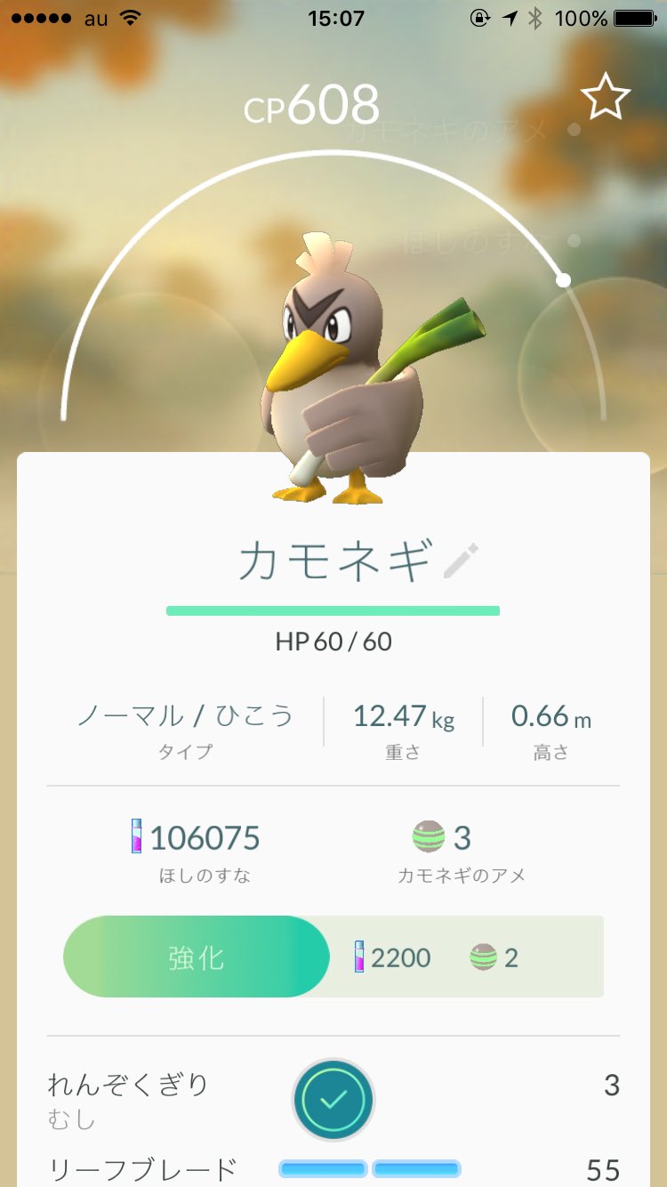 ブッキー ポケモン専用垢 Bukkii24mr Twitter