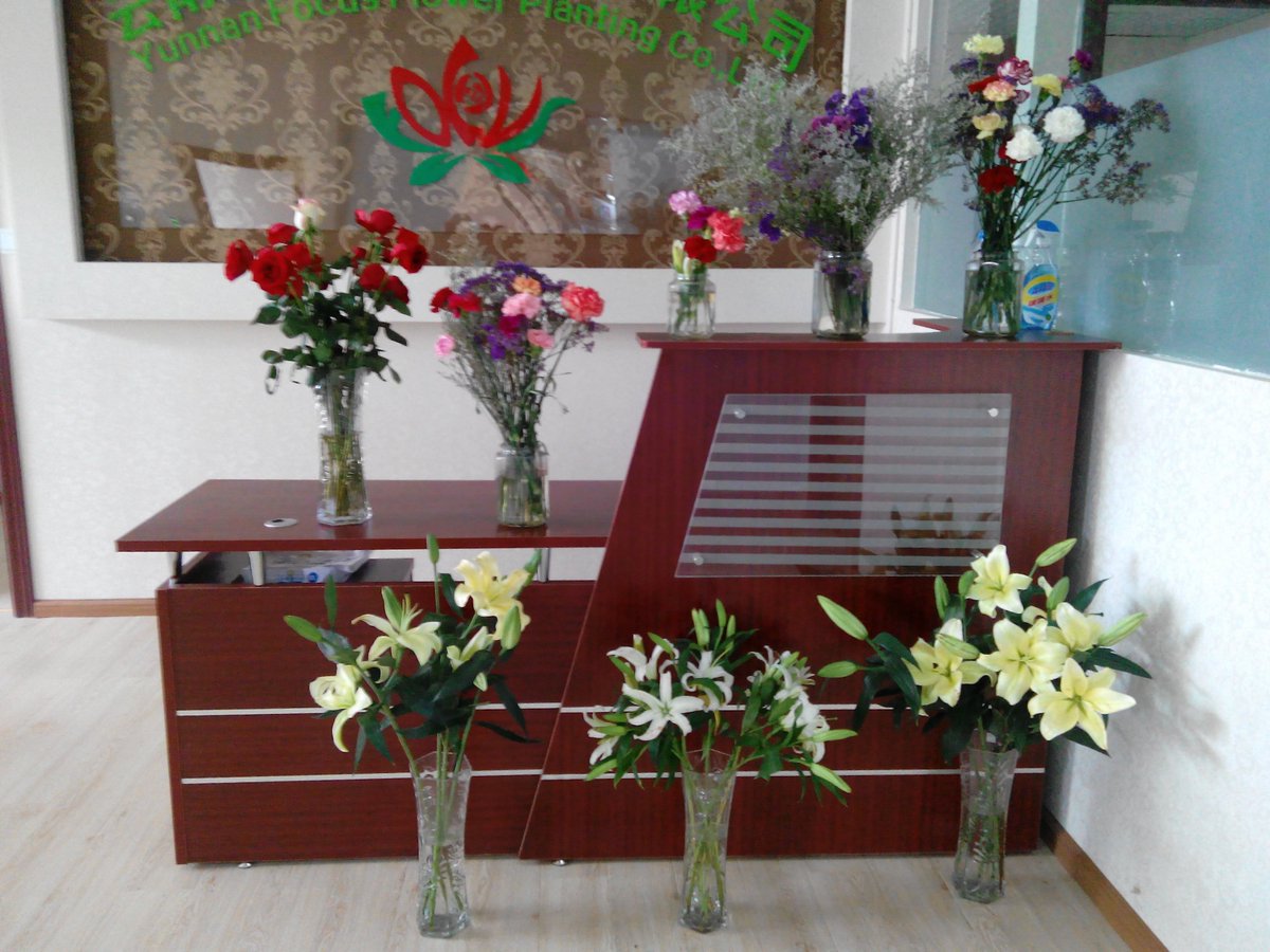 Focusflower tweet picture