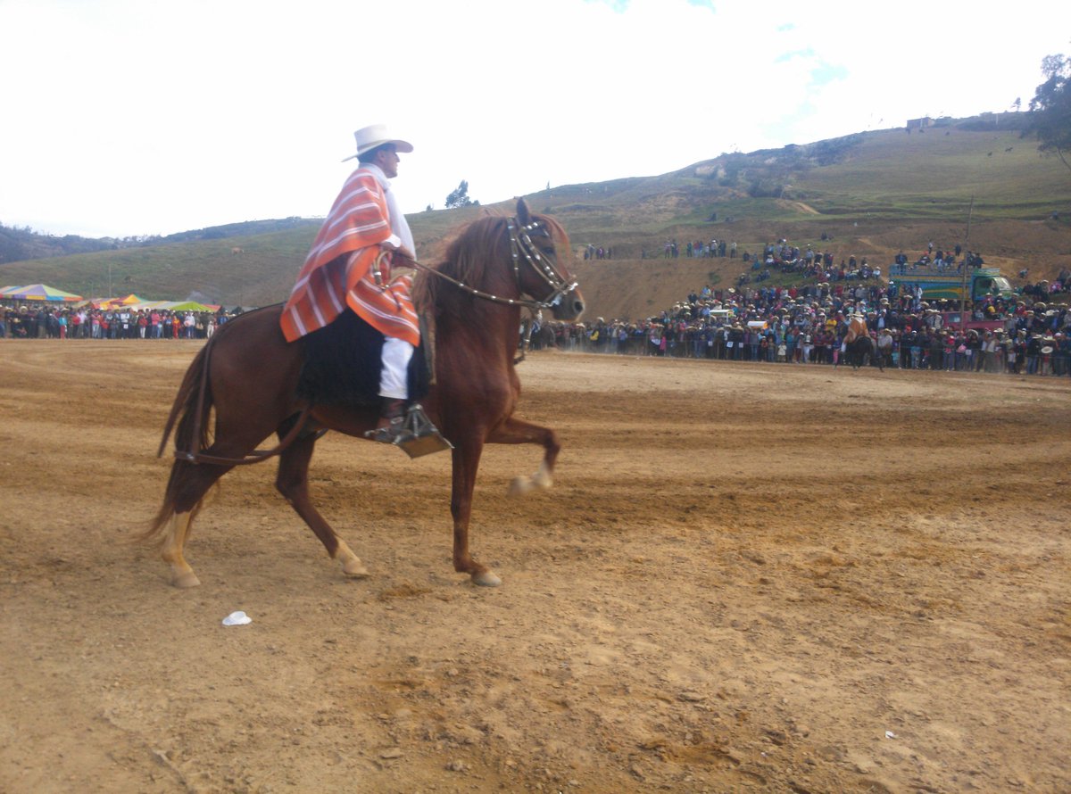 kikekastillo's tweet photo. @Puntodevista #CelebraPerú viendo concurso de caballo de paso y Celebrando mi Cumple 27 de Julio Cutervo-Perú https://t.co/3NApywsJFt