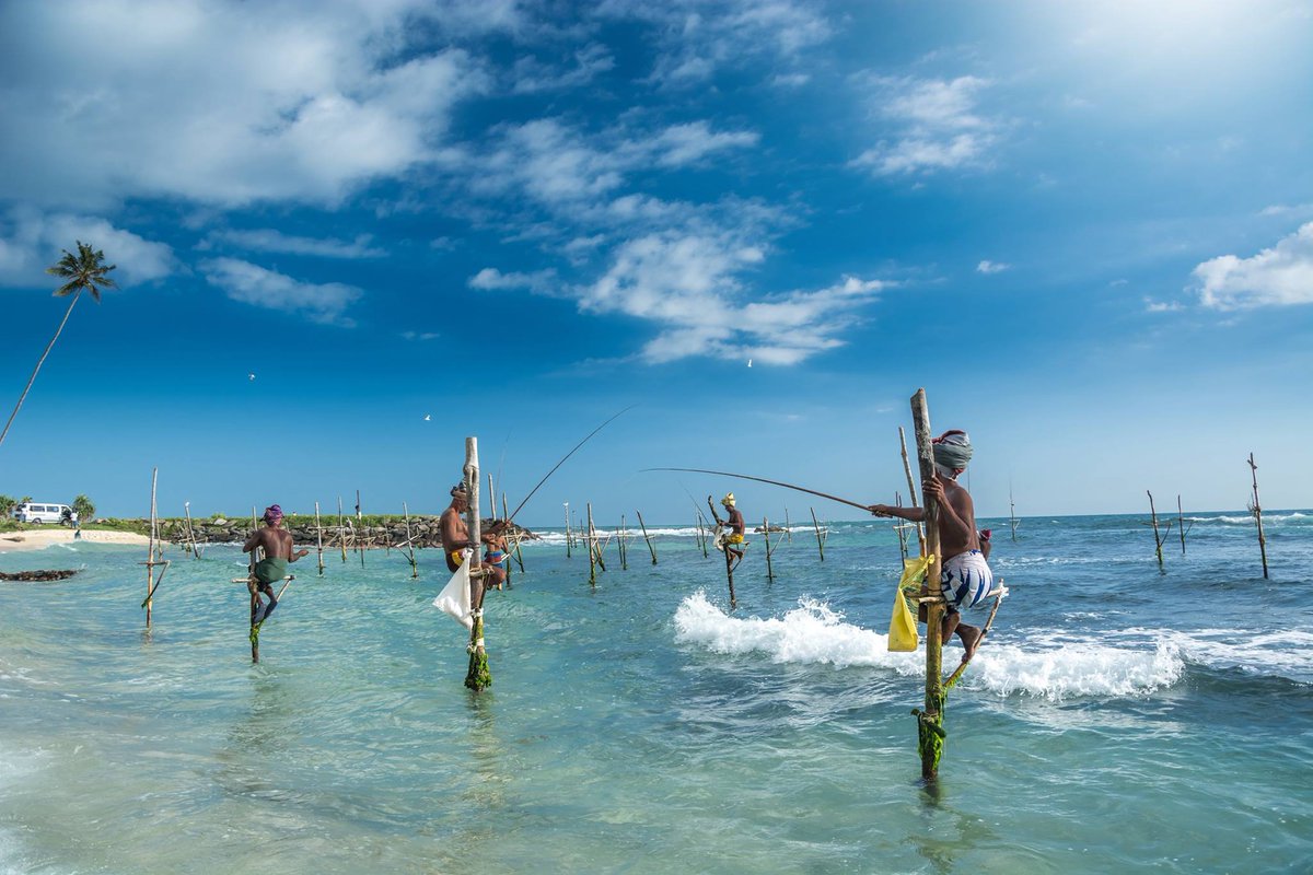The traditional pole fisherman of Sri Lanka. So impressive! #travel