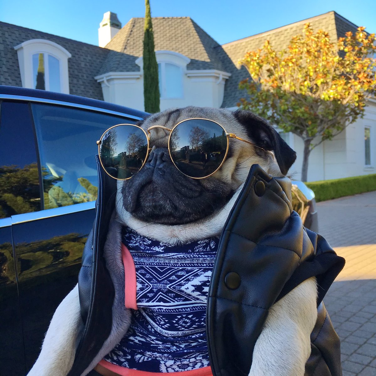 oSuperKid's tweet photo. Just incase anyone was wonder where I was https://t.co/CgMFwZCeUg