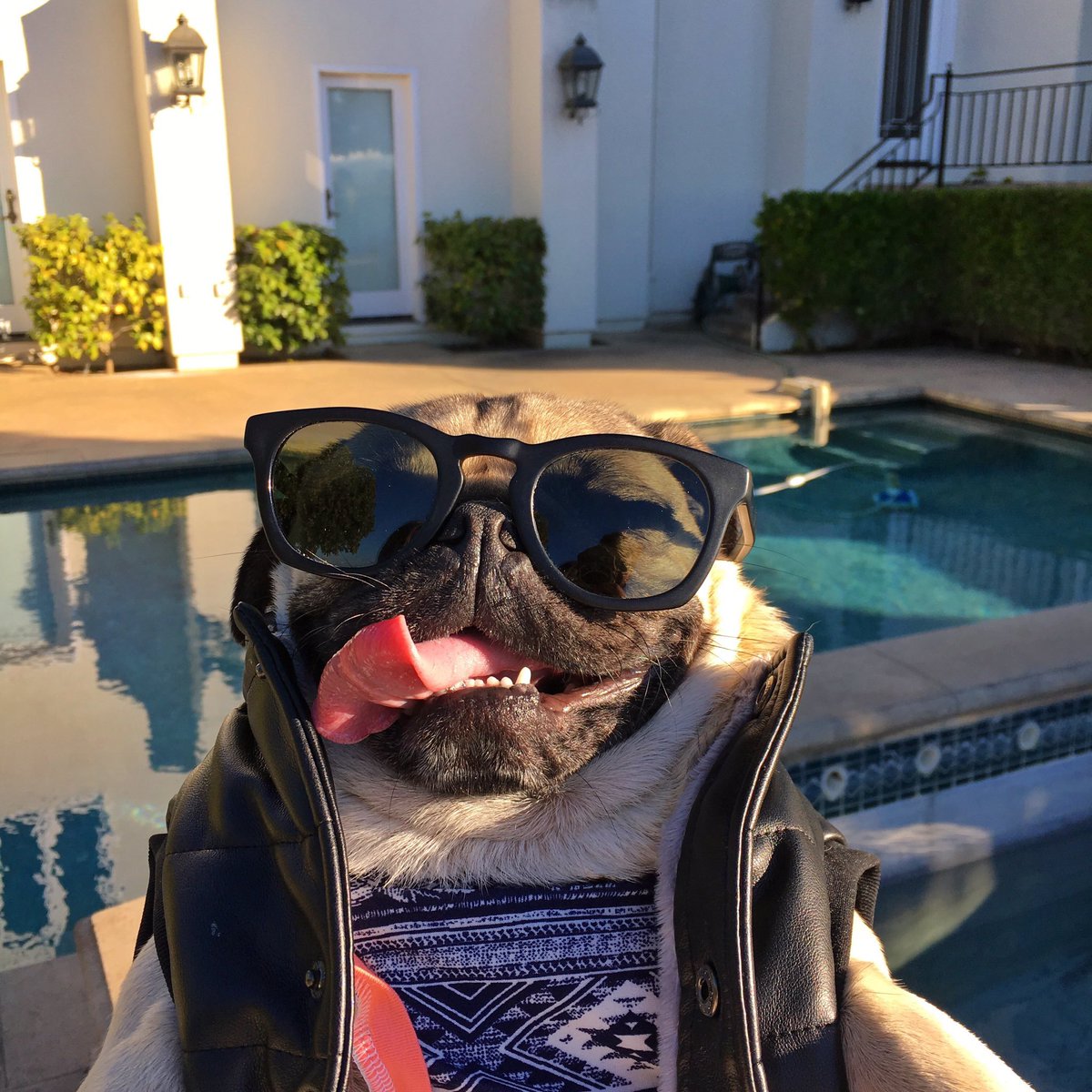 oSuperKid's tweet photo. Just incase anyone was wonder where I was https://t.co/CgMFwZCeUg