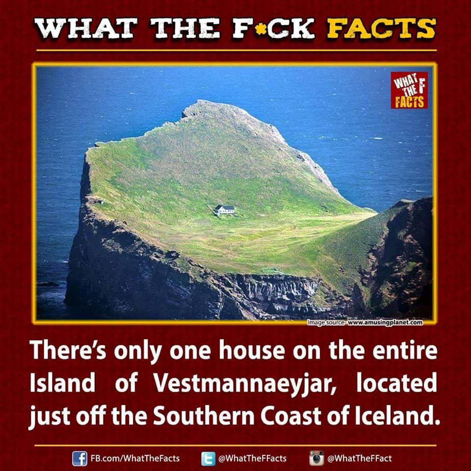 What The F*** Facts tweet media