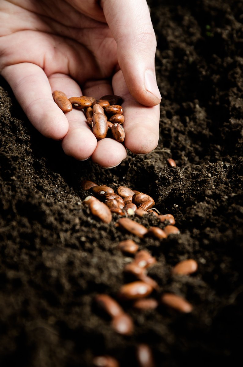DaniNierenberg's tweet photo. Every farmer should have the right to save &amp; share their seeds with another farmer. #seedsovereignty https://t.co/4wlfeguCTv
