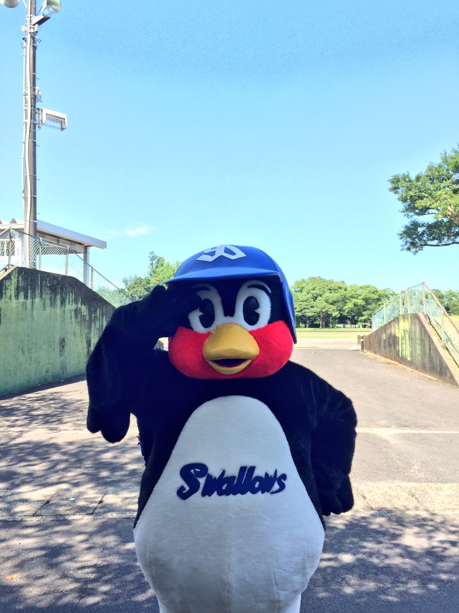 東京ヤクルトスワローズ公式 on X: 