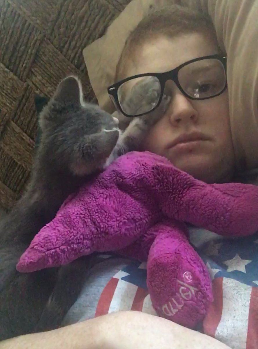 Chlobunny tweet media